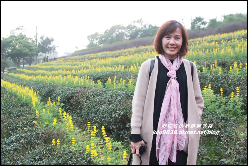 大北坑45.JPG 大北坑45.JPG