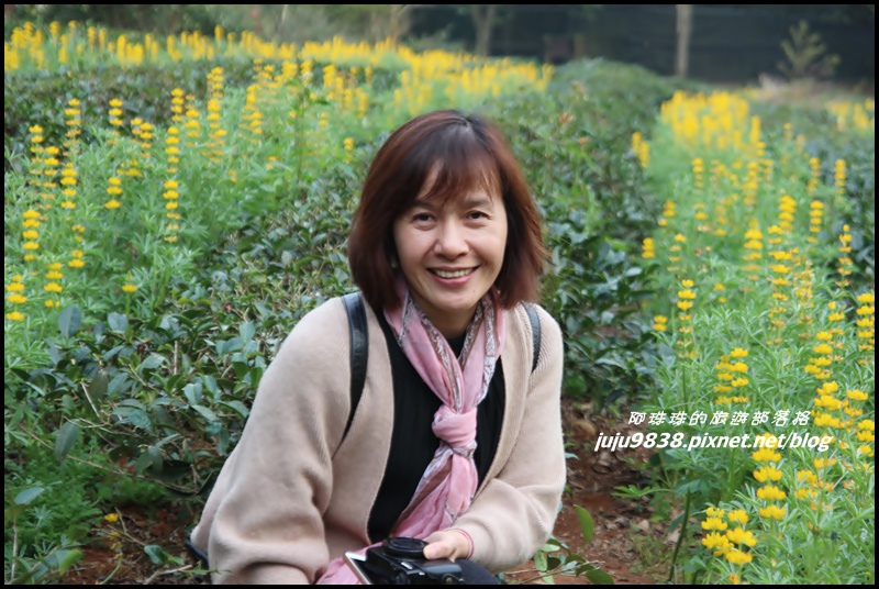 大北坑46.JPG 大北坑46.JPG