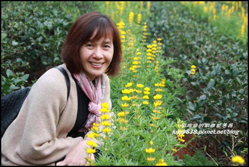 大北坑47.JPG 大北坑47.JPG