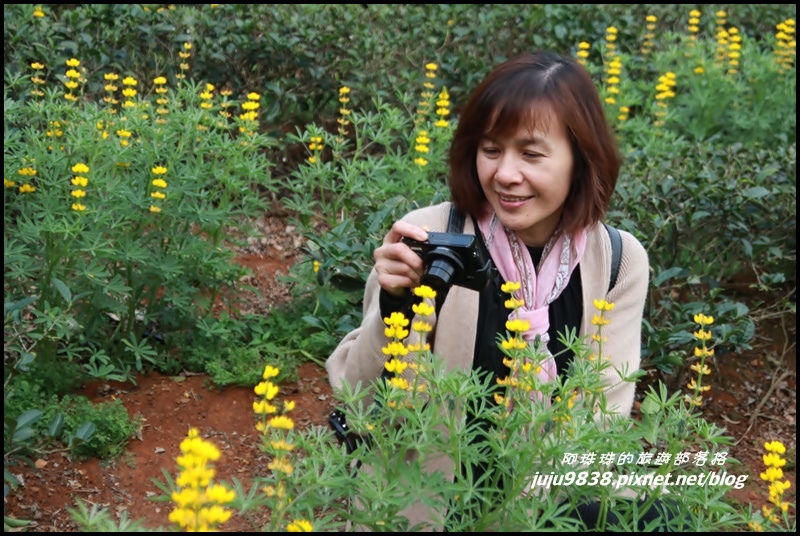 大北坑48.JPG 大北坑48.JPG