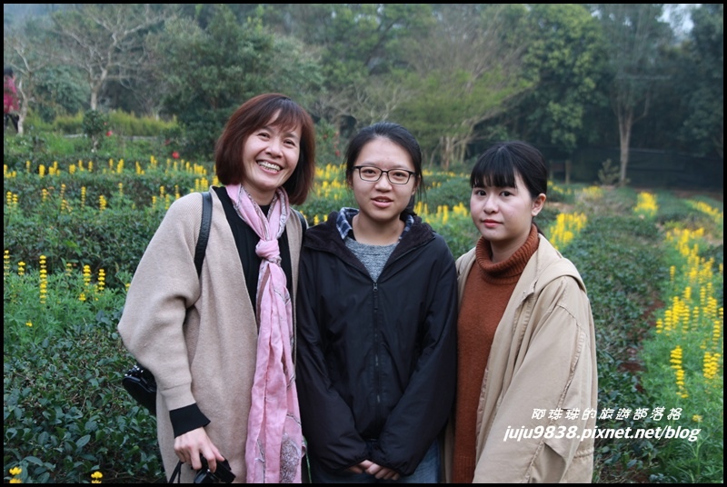 大北坑50.JPG 大北坑50.JPG