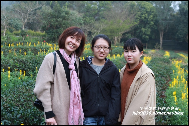 大北坑49.JPG 大北坑49.JPG