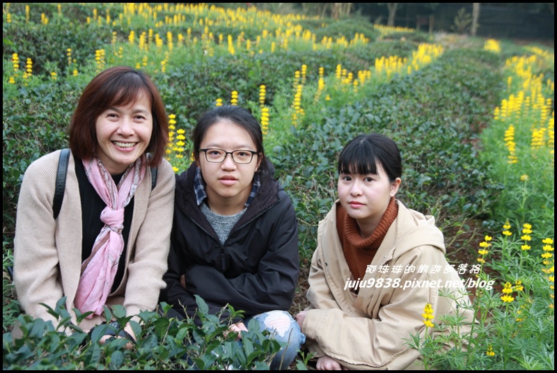 大北坑51.JPG 大北坑51.JPG