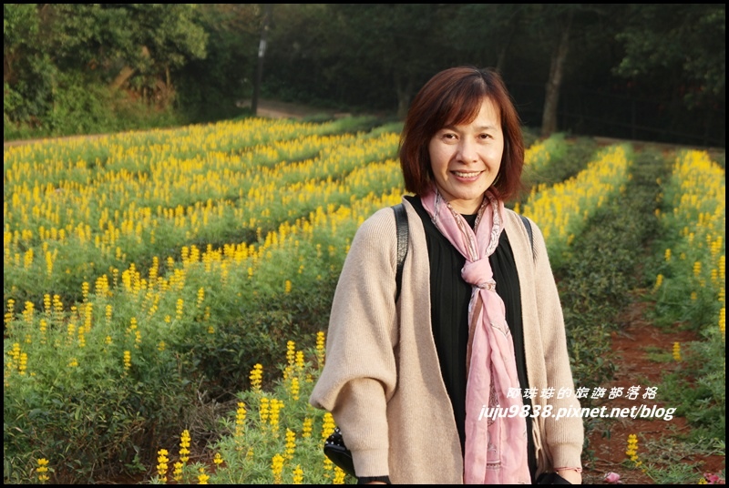 大北坑52.JPG 大北坑52.JPG