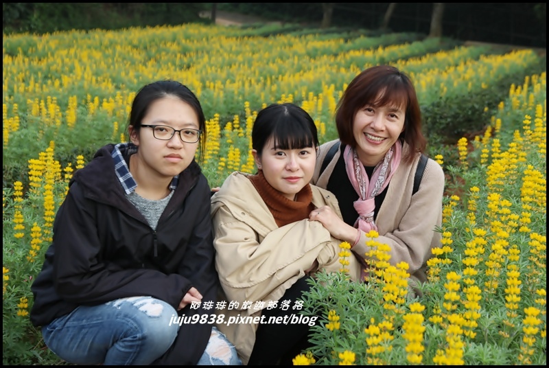 大北坑54.JPG 大北坑54.JPG