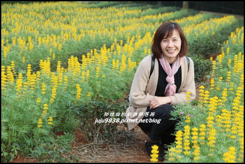 大北坑53.JPG 大北坑53.JPG