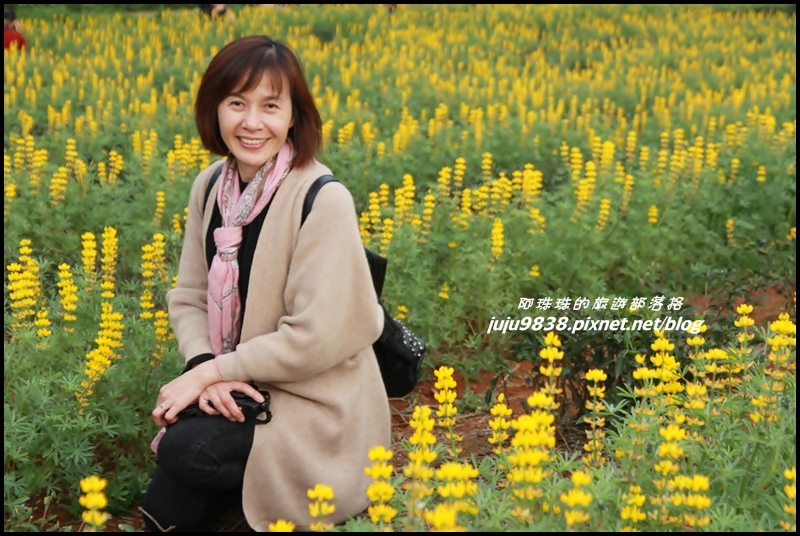 大北坑55.JPG 大北坑55.JPG