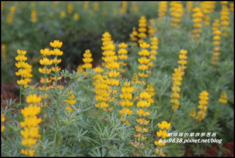 大北坑56.JPG 大北坑56.JPG