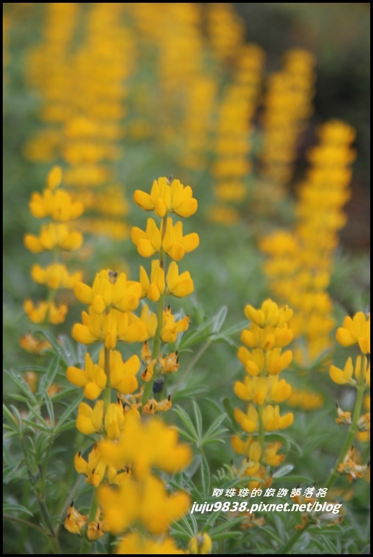 大北坑57.JPG 大北坑57.JPG