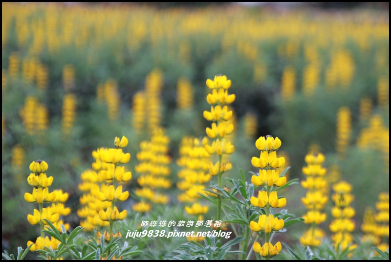 大北坑58.JPG 大北坑58.JPG