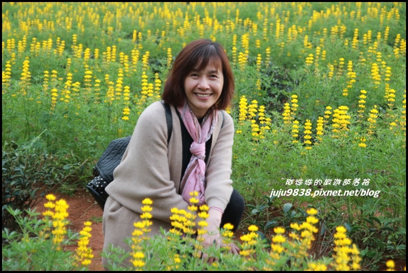 大北坑59.JPG 大北坑59.JPG