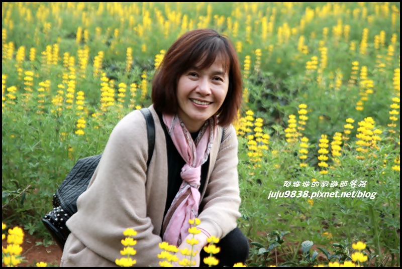 大北坑60.JPG 大北坑60.JPG