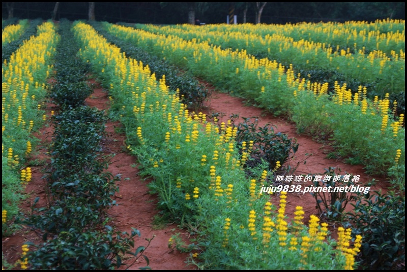 大北坑61.JPG 大北坑61.JPG