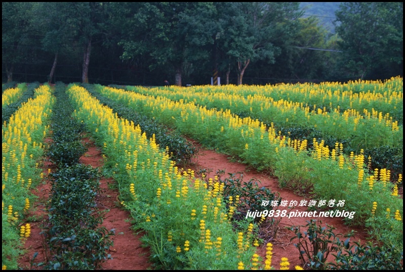 大北坑62.JPG 大北坑62.JPG