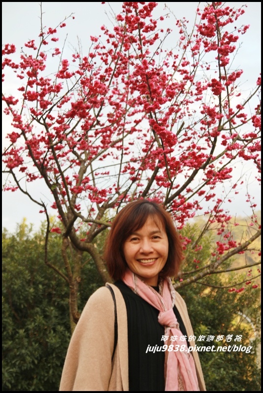 大北坑63.JPG 大北坑63.JPG