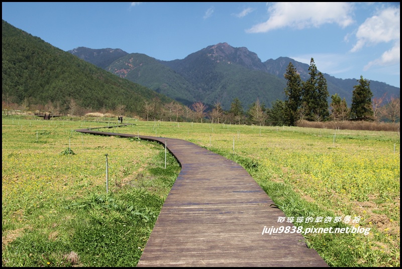 武陵76.JPG 武陵76.JPG