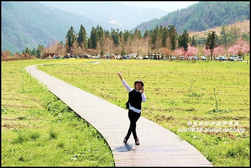 武陵80.JPG 武陵80.JPG