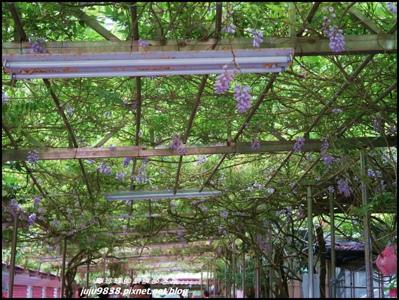 竹子湖1.JPG 竹子湖1.JPG