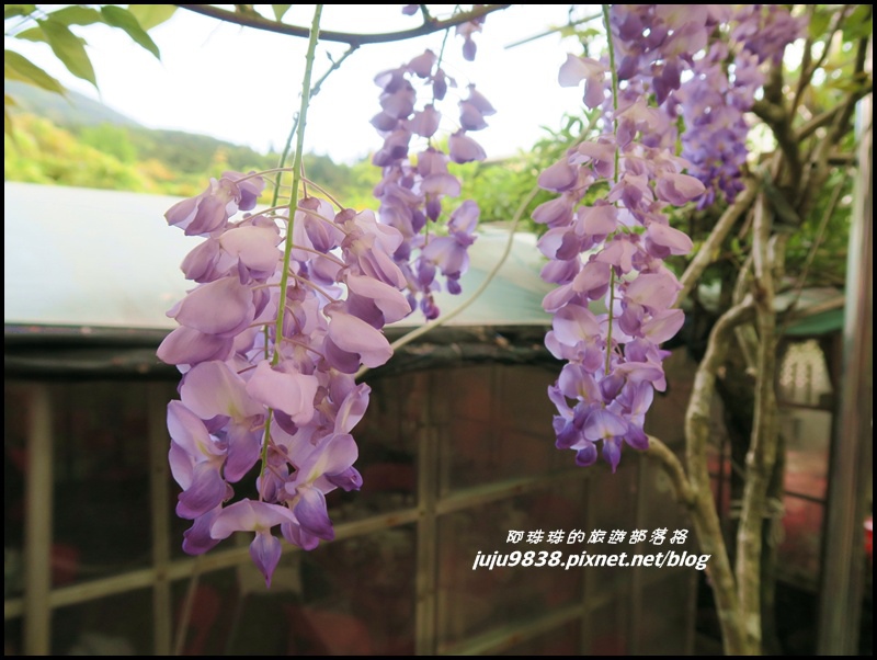 竹子湖3.JPG 竹子湖3.JPG