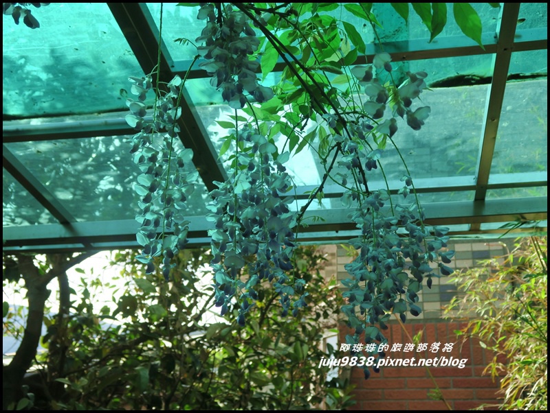 竹子湖4.JPG 竹子湖4.JPG