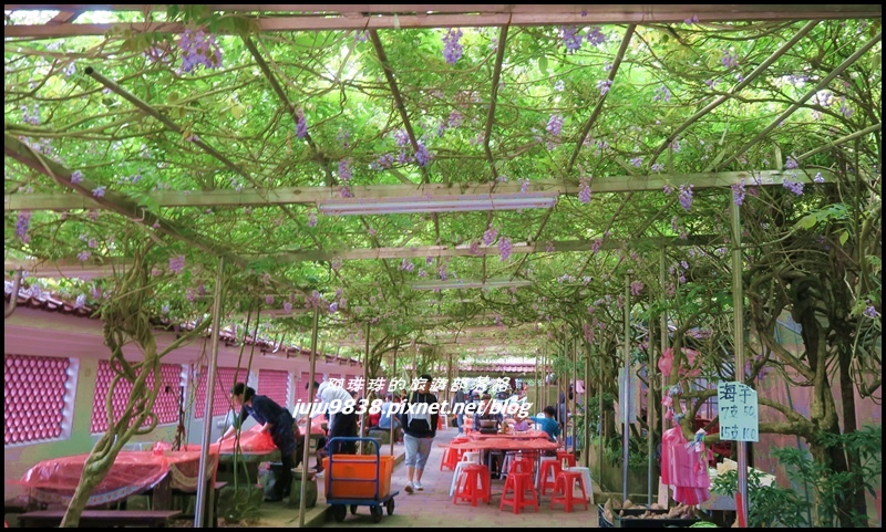 竹子湖5.JPG 竹子湖5.JPG