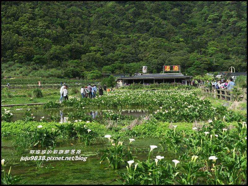 竹子湖10.JPG 竹子湖10.JPG