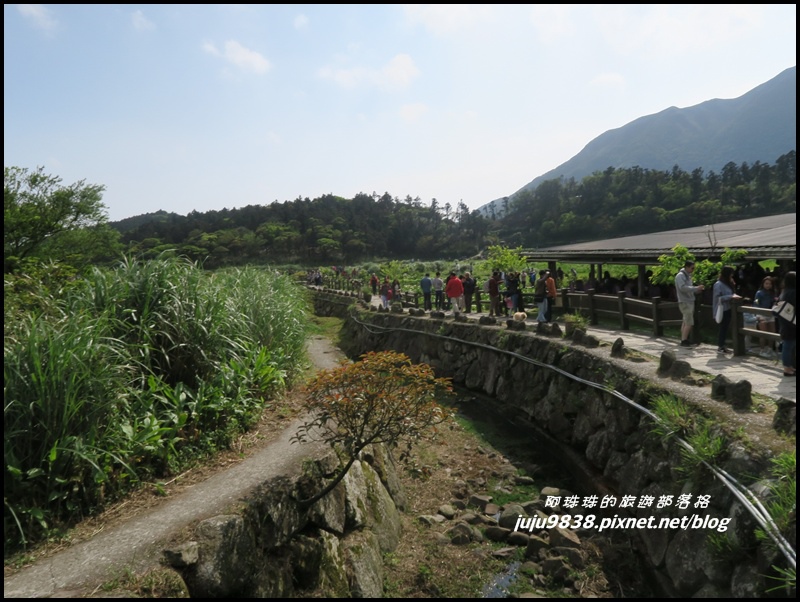 竹子湖14.JPG 竹子湖14.JPG