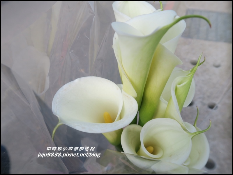 竹子湖20.JPG 竹子湖20.JPG