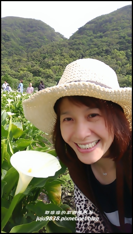 竹子湖23.jpg 竹子湖23.jpg