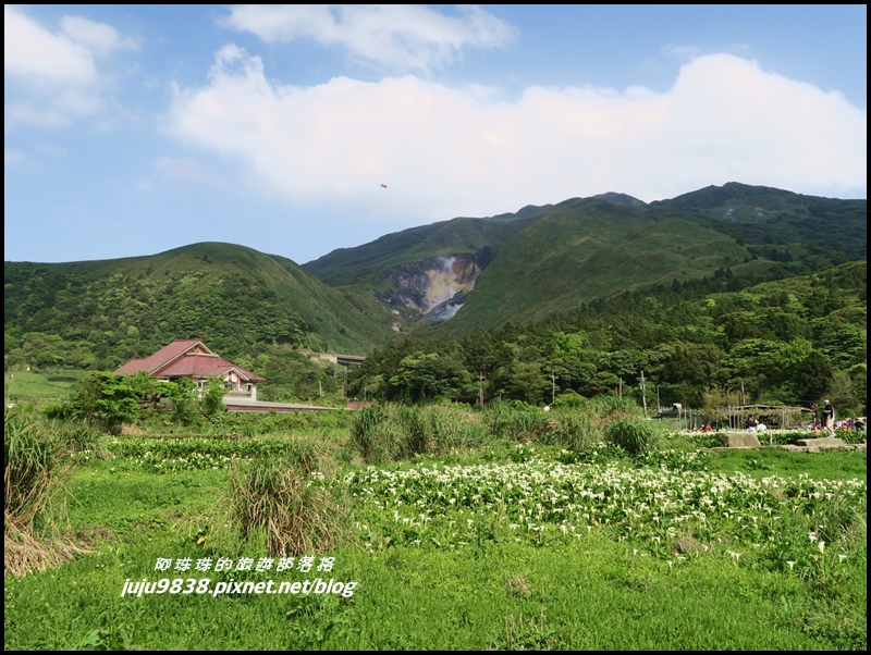 竹子湖25 竹子湖25