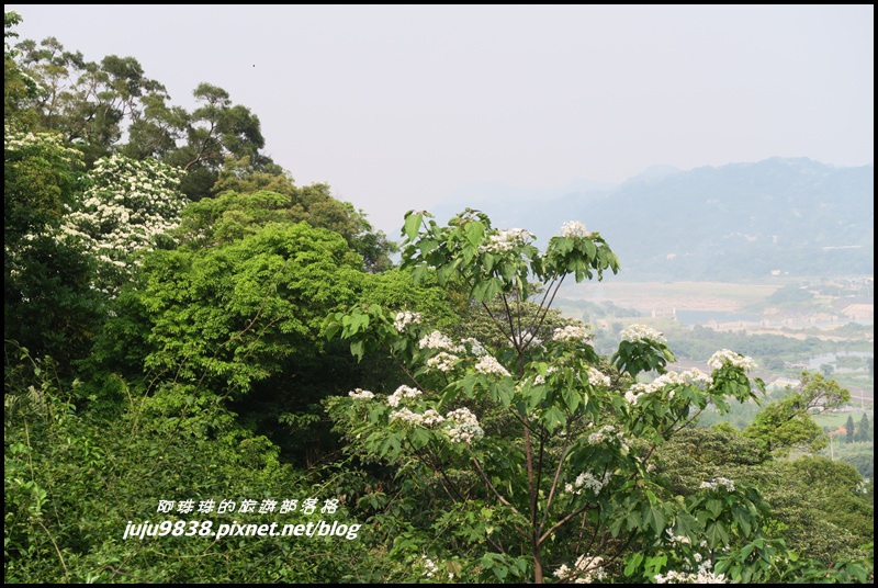 齋明寺古道11.JPG