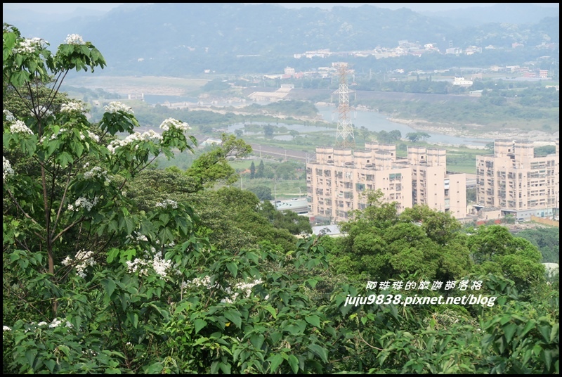 齋明寺古道12.JPG