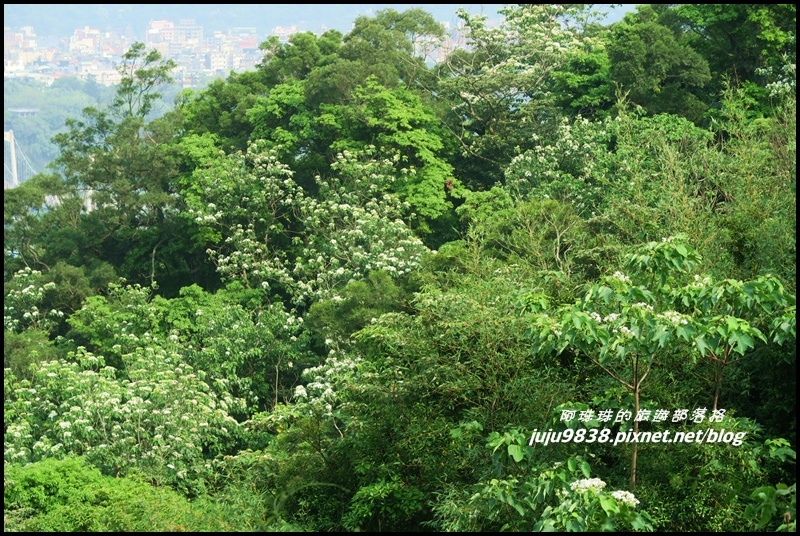 齋明寺古道14.JPG 齋明寺古道14.JPG