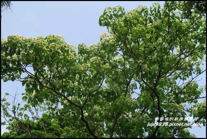 齋明寺古道15.JPG 齋明寺古道15.JPG
