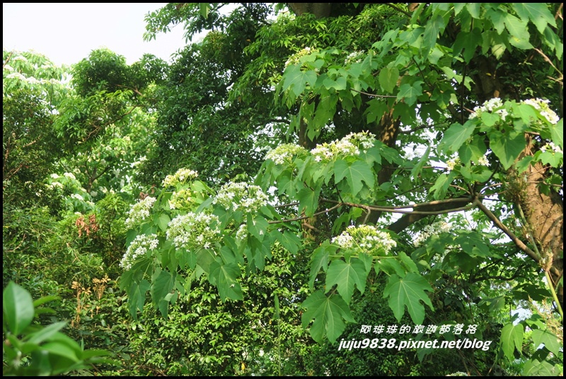 齋明寺古道16.JPG