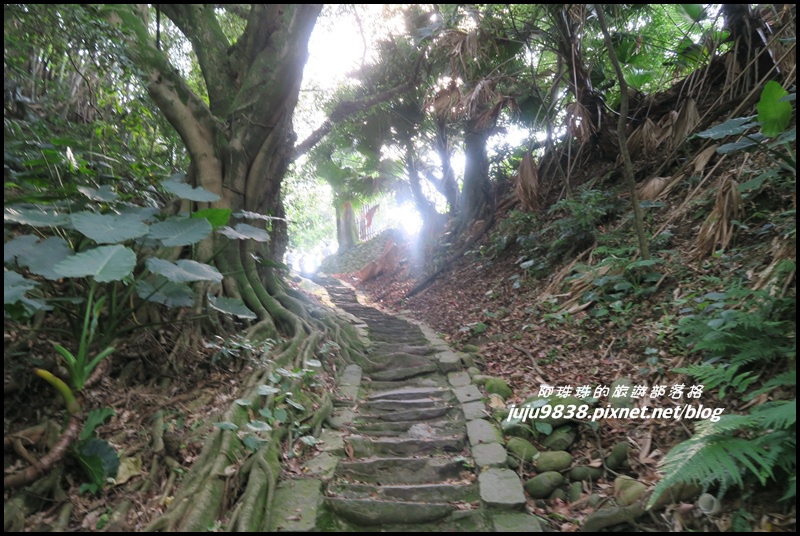 齋明寺古道19.JPG