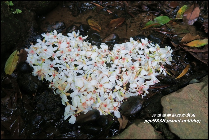 齋明寺古道20.JPG 齋明寺古道20.JPG