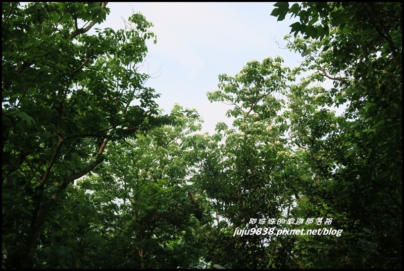 齋明寺古道22.JPG 齋明寺古道22.JPG