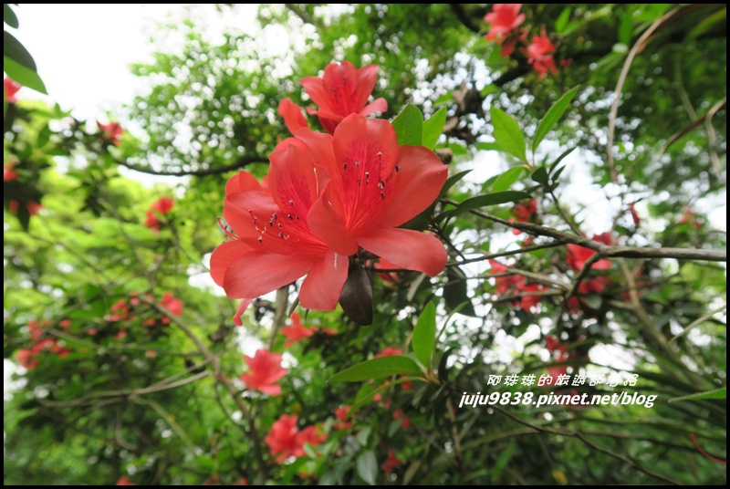 齋明寺古道27.JPG 齋明寺古道27.JPG