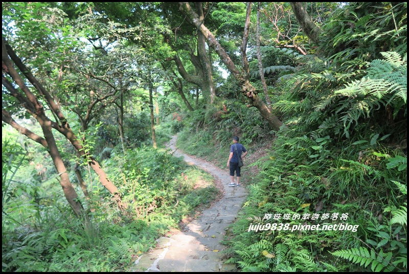 齋明寺古道26.JPG