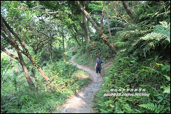 齋明寺古道26.JPG