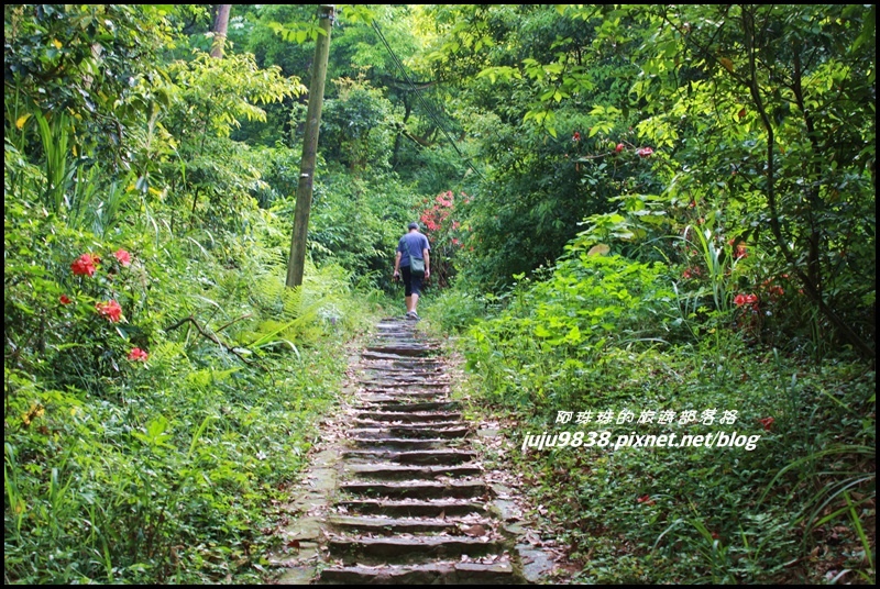 齋明寺古道35.JPG 齋明寺古道35.JPG