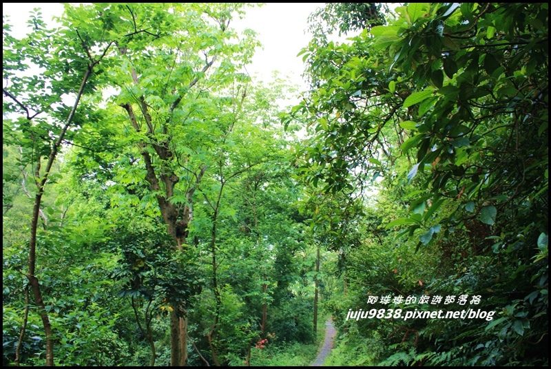 齋明寺古道39.JPG 齋明寺古道39.JPG