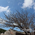 澎湖眷村文化園區15.JPG