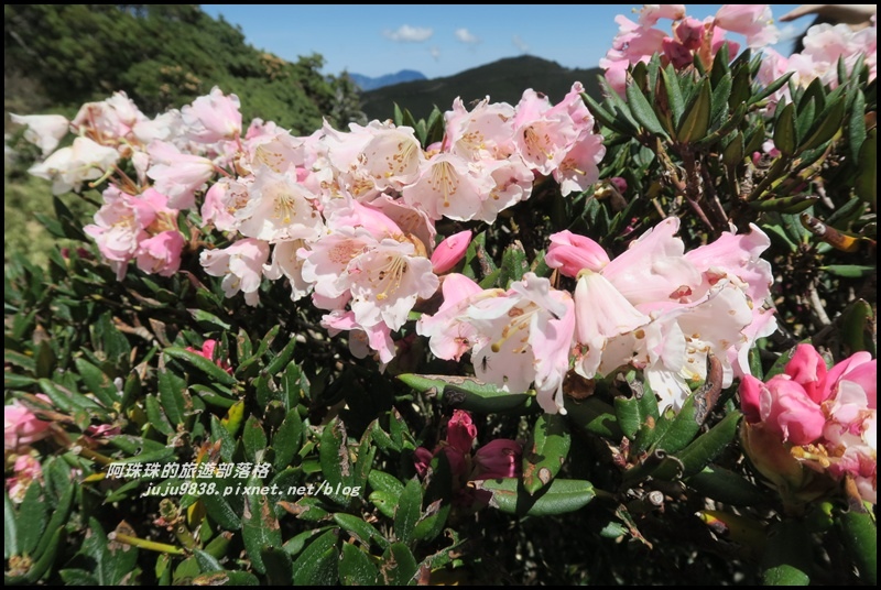 合歡東峰14.JPG 合歡東峰14.JPG