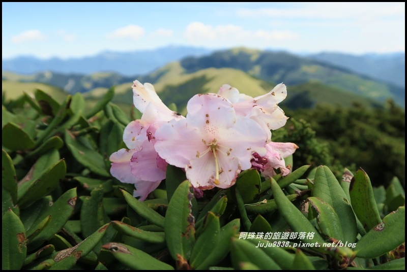 合歡東峰18.JPG 合歡東峰18.JPG