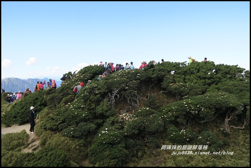 合歡東峰21.JPG