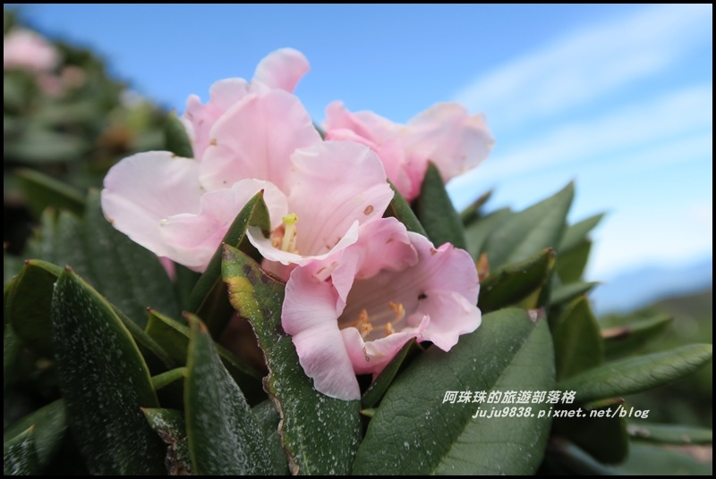 合歡東峰19.JPG 合歡東峰19.JPG