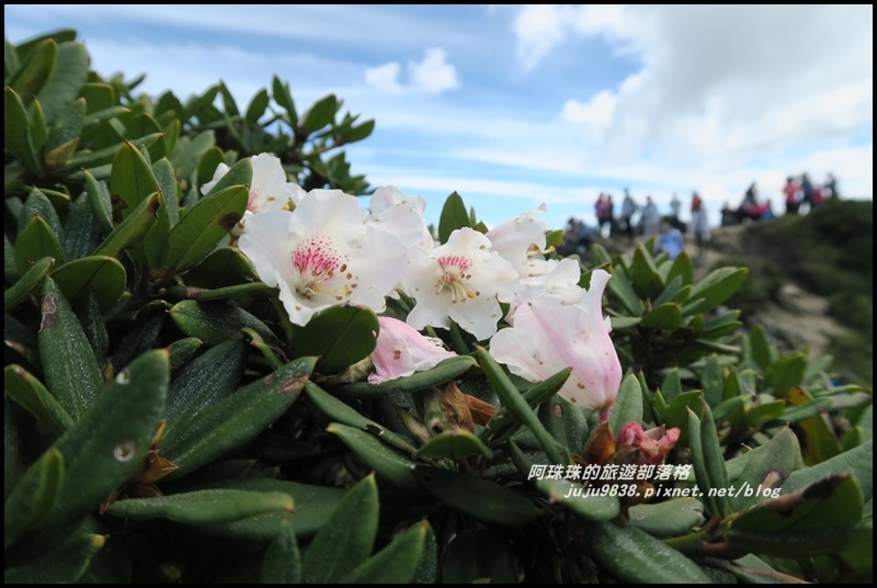 合歡東峰24.JPG