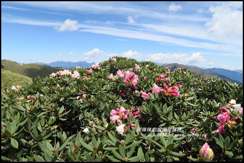 合歡東峰29.JPG